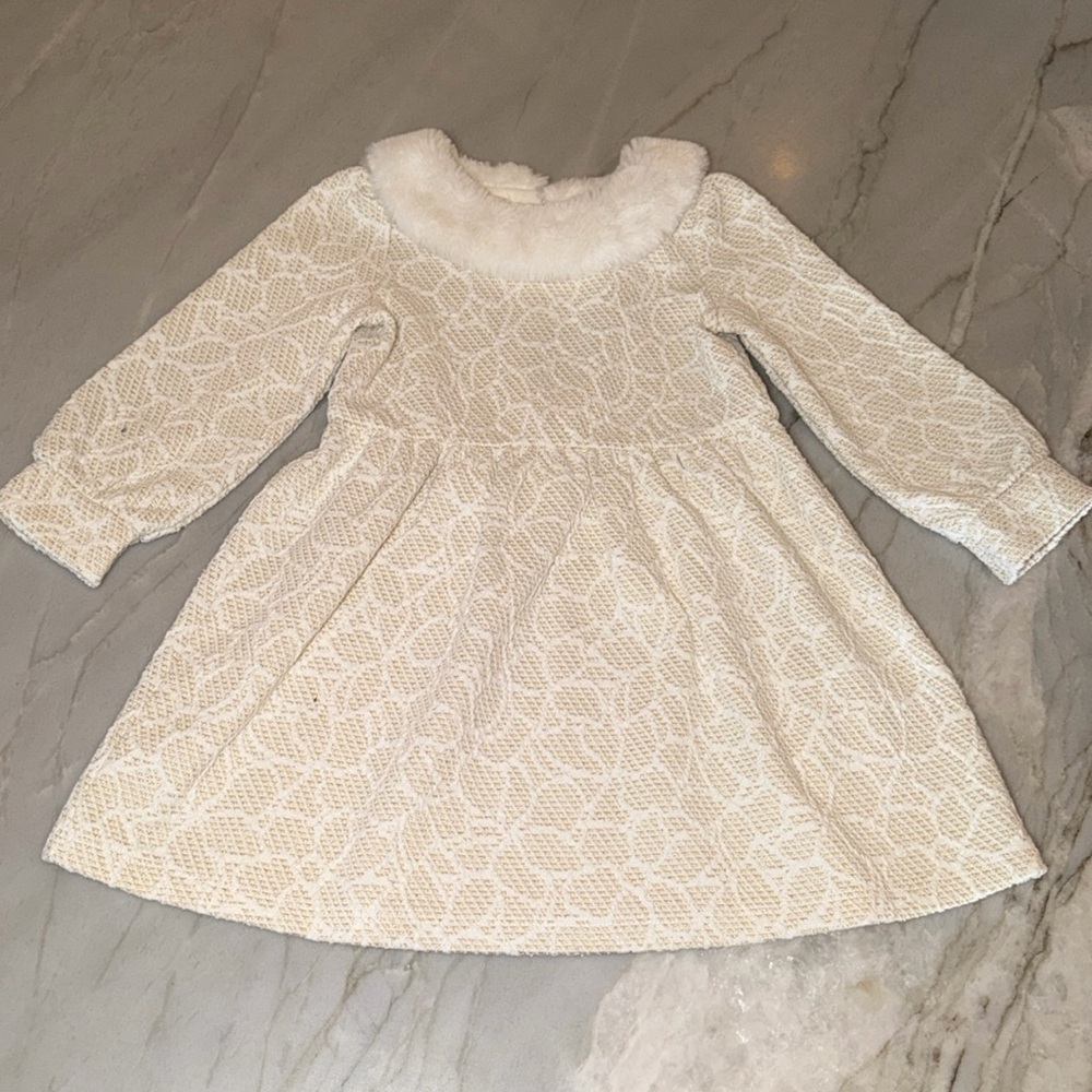 Janie and Jack Metallic Floral Dress with Faux Fur Collar